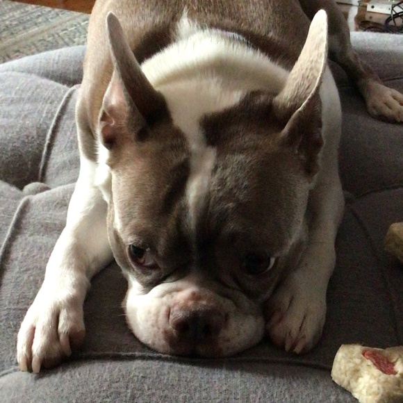 Esme - Picture 1 of 1